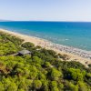 Una lunga spiaggia sabbiosa con ombrelloni, circondata da una densa pineta e un mare blu.