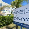 Cartello 