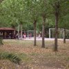 Campo di calcio con persone che giocano, alberi e area picnic.