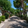 Un viale alberato tra bungalow.