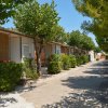 Bungalows lungo un viale alberato, con siepi verdi e tetti di tende di bambù.