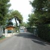 Cancello d'ingresso con vialetto alberato.