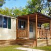 Casa mobile con veranda in legno circondata da alberi.