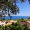 Vista sul mare con rami di ulivo in primo piano e tetti di case.