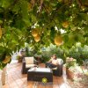 Donna seduta in giardino sotto limoni.