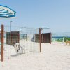 Due cani in un'area delimitata sulla spiaggia, con ombrelloni blu e bianchi.