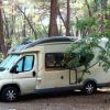 Camper parcheggiato tra gli alberi in un'area boschiva.