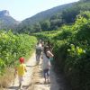 Gruppo di persone cammina su un sentiero tra vigneti.