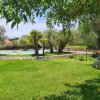 Giardino verde con piscina e alberi.
